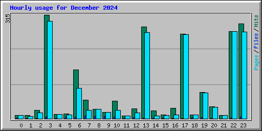 Hourly usage for December 2024