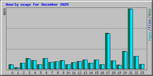 Hourly usage for December 2025