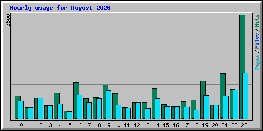 Hourly usage for August 2026